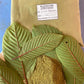 Speciosa green/red Rifat green/red split 4 x 250gram