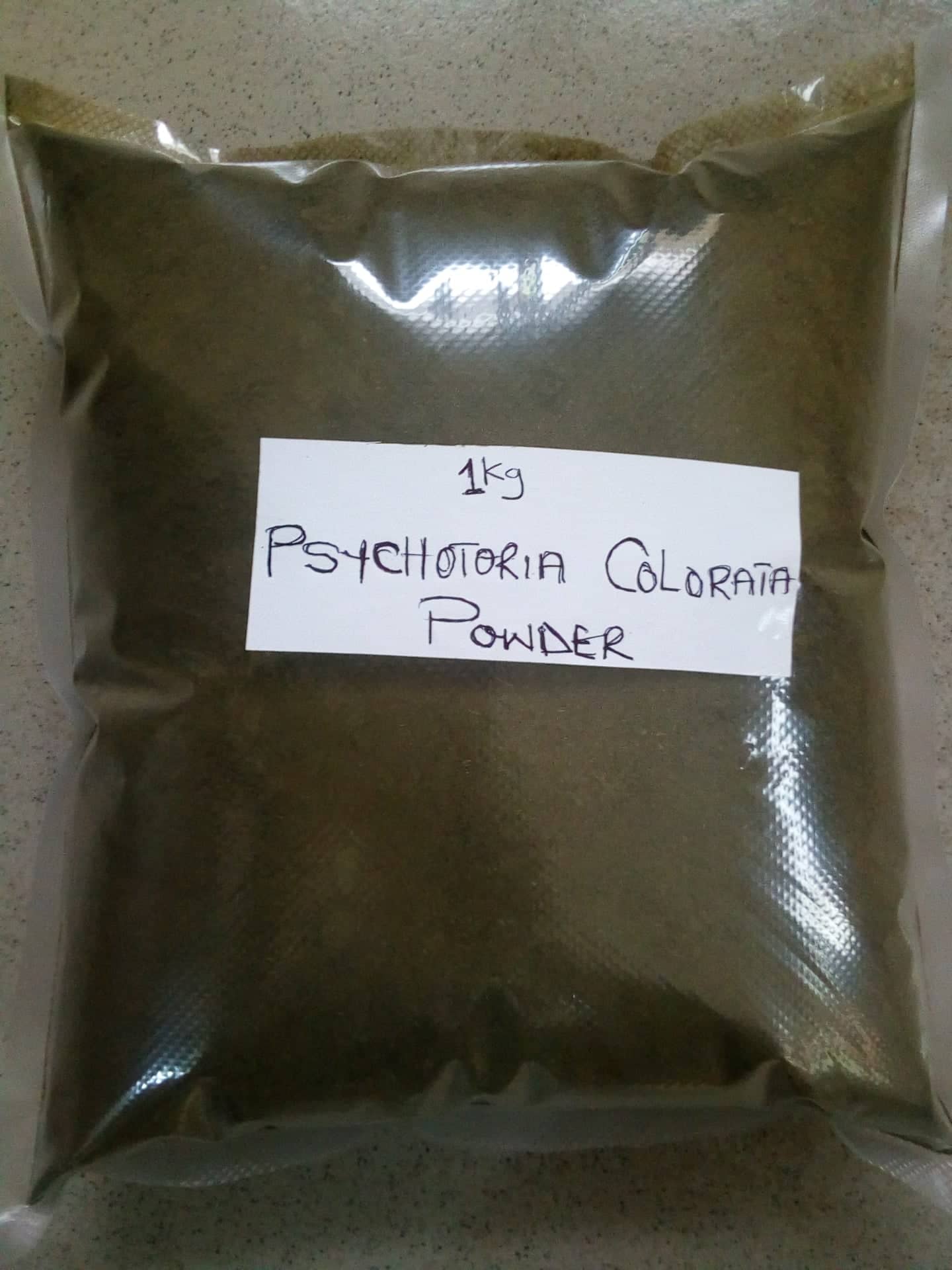 Psychotris Colorata powder 500gram to 2000gram